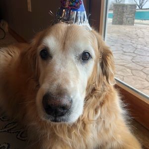 Meet your Posher, Nya